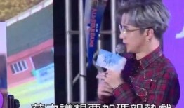 学渣本质爆料薛之谦视频,一场别开生面的视频爆料