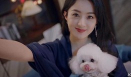 赵丽颖工作人员爆料视频,揭秘明星幕后生活点滴